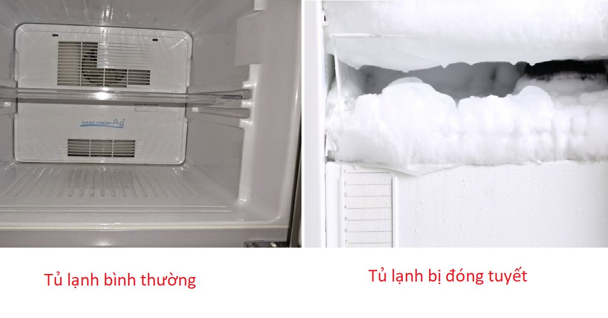 Sửa tủ lạnh đông tuyết tại Hà Nội